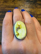Palomino ring